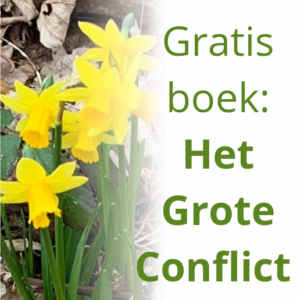 Gratis boek: Het Grote Conflict
