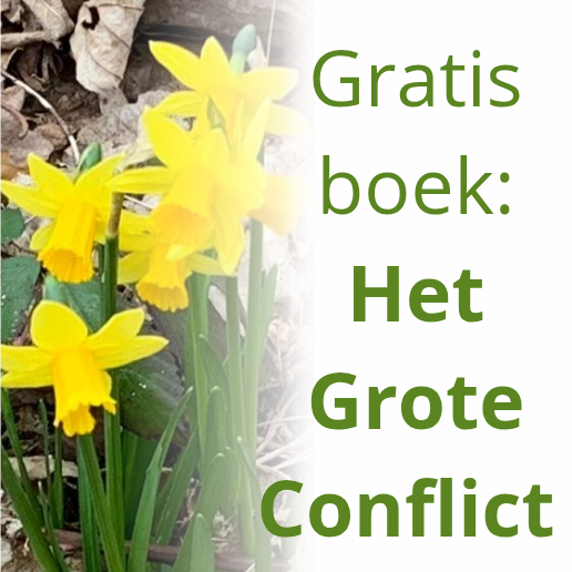 Gratis boek: Het Grote Conflict